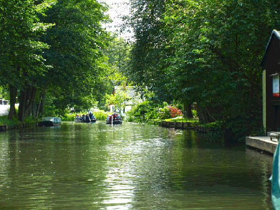 Jahresausflug Cottbus/Spreewald/Berlin 2015